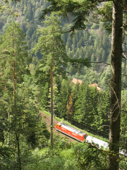 Schwarzwaldbahn am Seelenwald